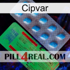 Cipvar new03